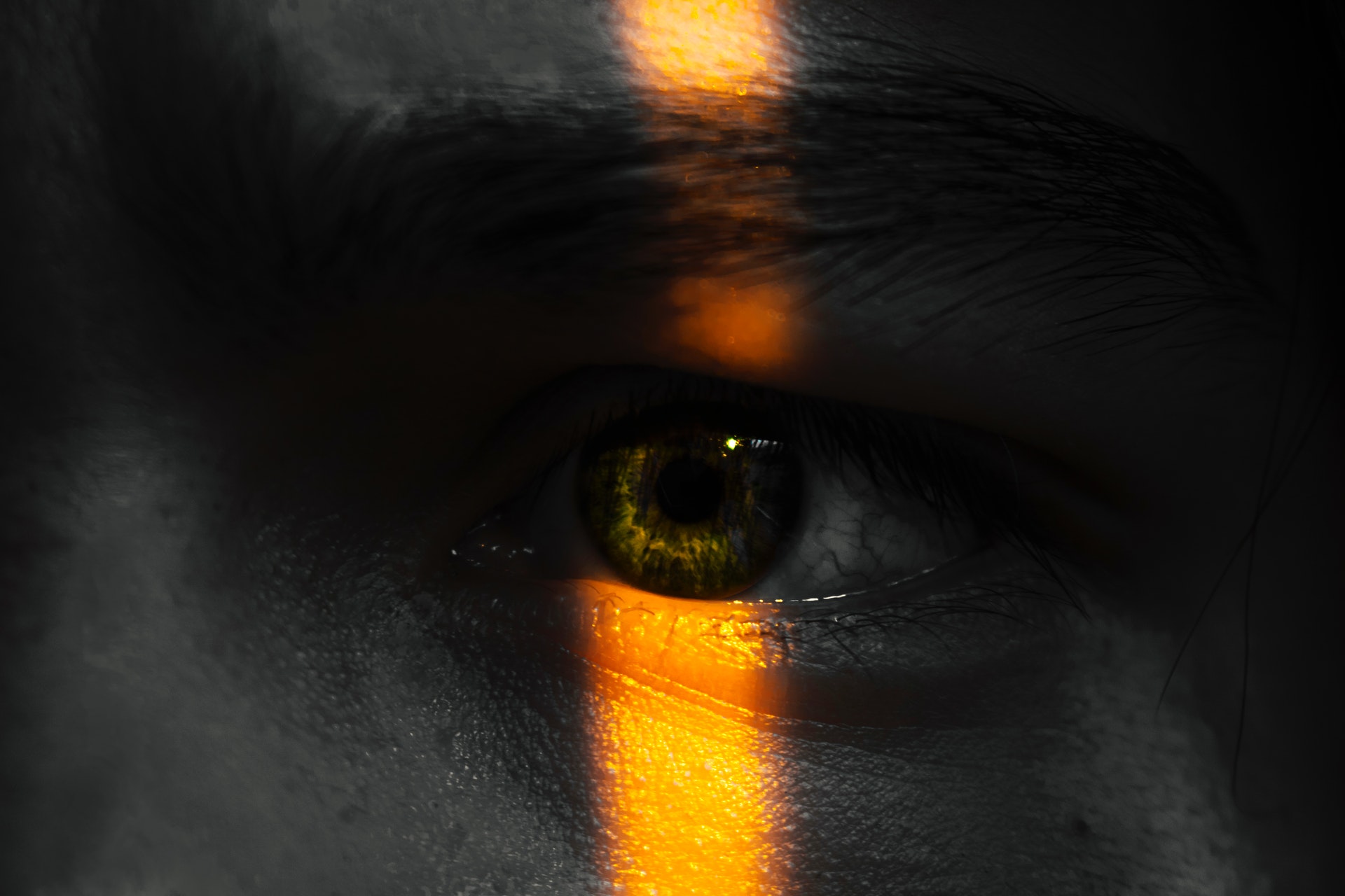 You are currently viewing נָדָב